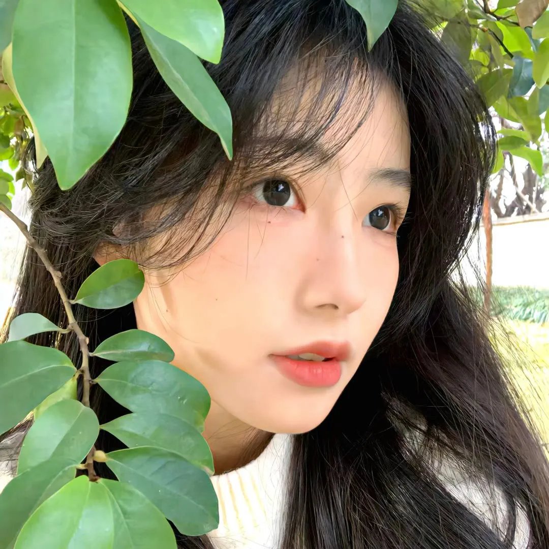 无节操摄影部